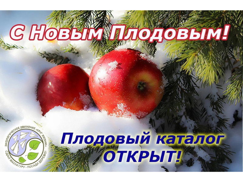 С Новым Плодовым! - открыт каталог плодовых на весну