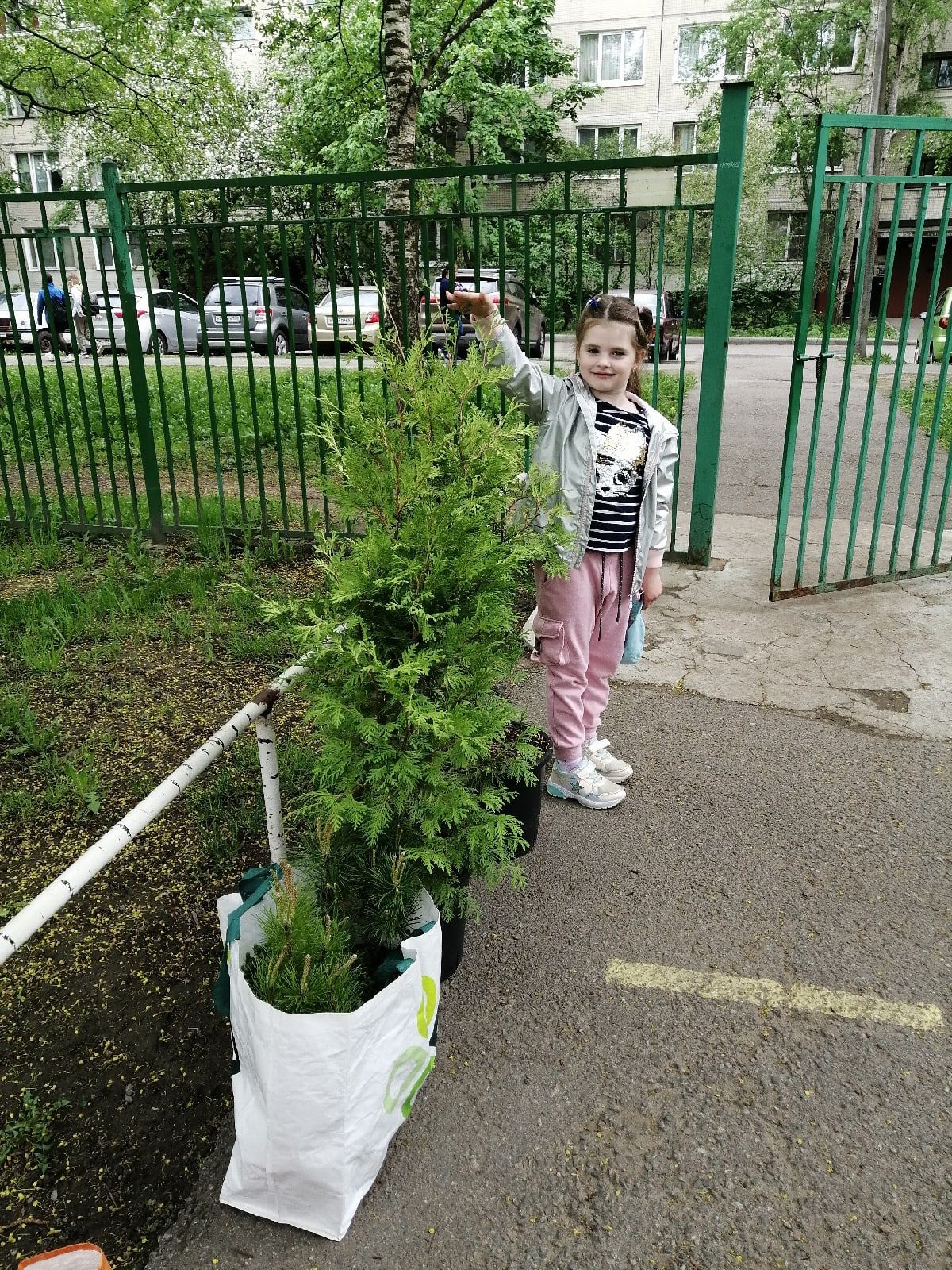 Детский Сад № 23 Санкт-Петербурга высадил более 70 растений