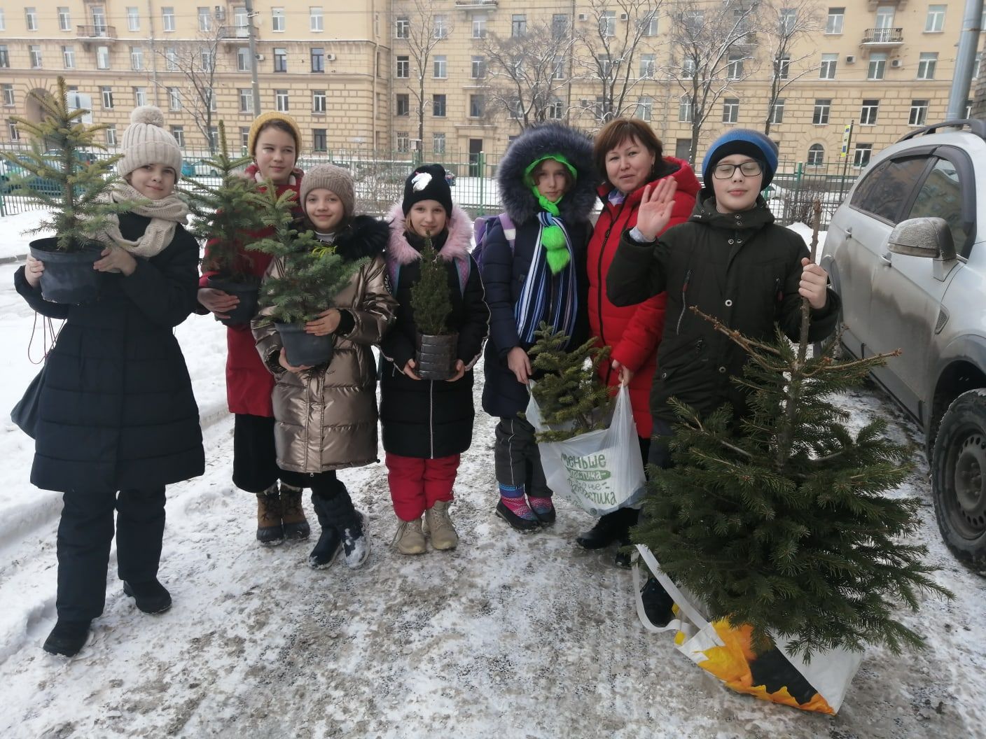 Елочки на зимовке в лицее № 389 Санкт-Петербурга