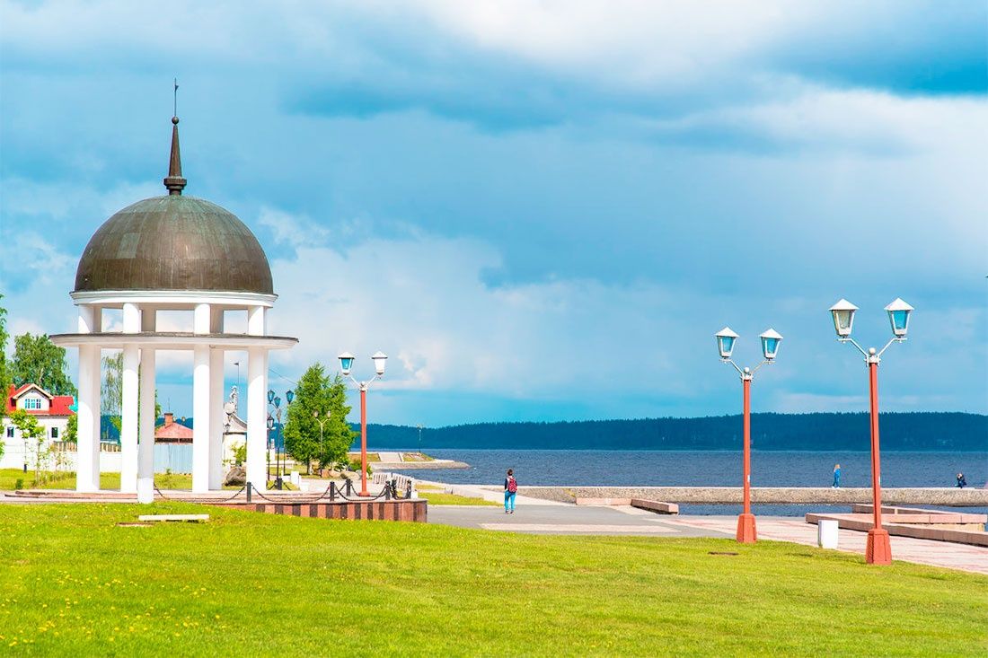 Петрозаводск: выбор летних саженце по 20 июня