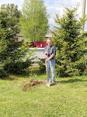 Фруктовый сад для не-одиночества в посёлке Эссойла, Карелия
